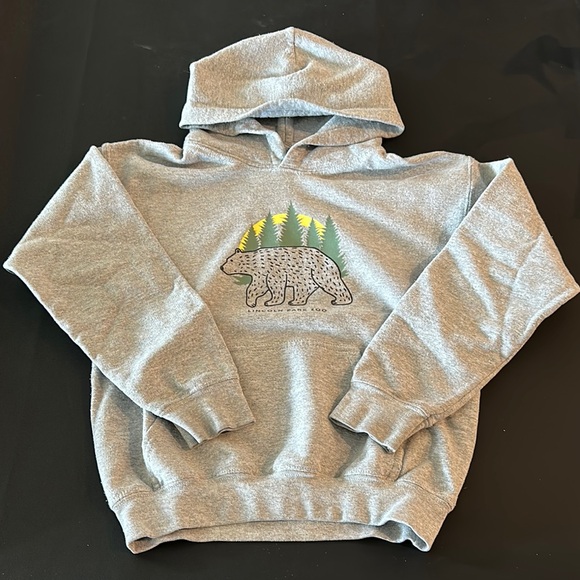 Gildan Other - Gildan Gray Lincoln Park Zoo Bear Hoodie for Kids